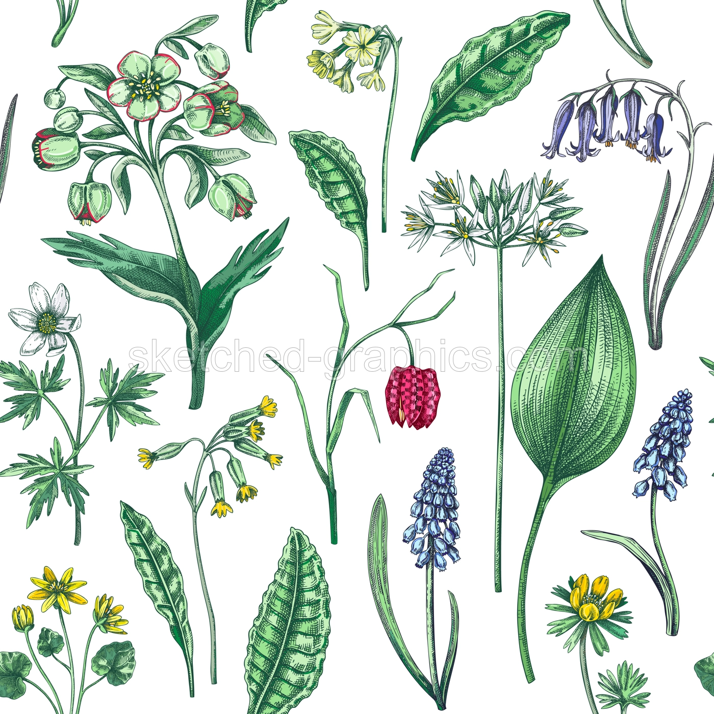 Spring flowers seamless pattern. Wildflowers background. Forest plant, greenery, wild flowers sketches. Hand drawn vector illustration. Not AI-generated Illustration